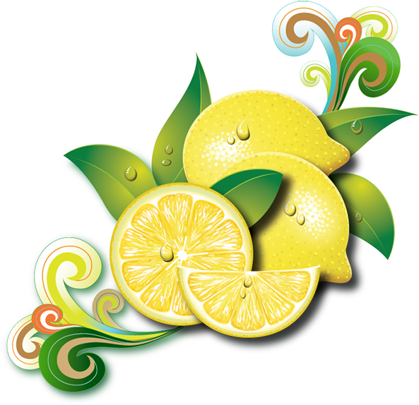 Art Direction & Design - Lemon Vector (600x576)