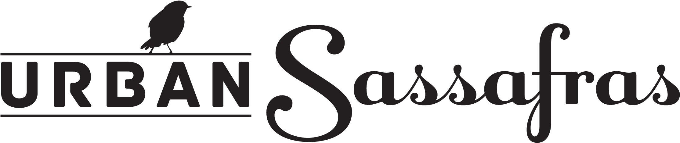 Pre School Age Children Can Bring Their Grown Ups And - Calligraphy (2400x600)