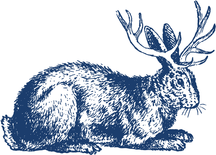 02 Southwark Jackalope Web - Vintage Easter Clip Art (840x840)