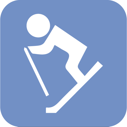 Ski & Snowboard Lessons - Ski Jumping (502x501)