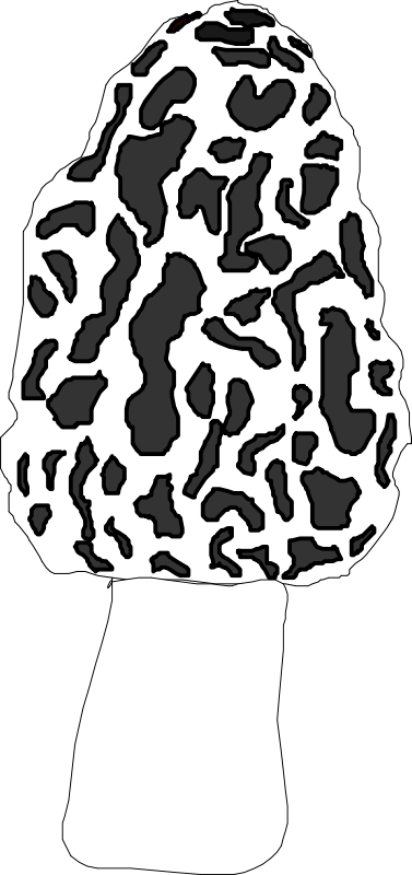 Clip Art Tags - Mushroom (377x800)