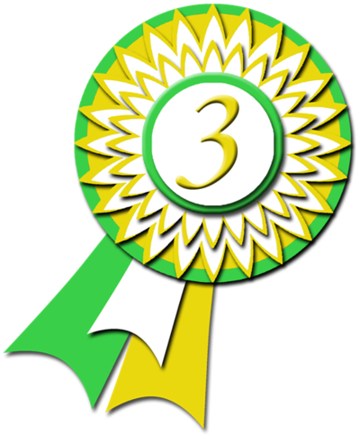 Grand Champion's Cup Of Sakura Ribbon 3rd Place By - Ribbon3rd Place (400x483)