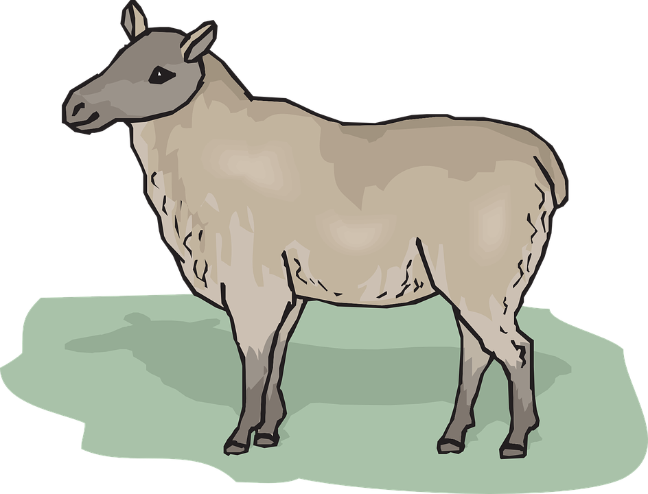 Ewe Free Images On Pixabay - Goat (944x720)