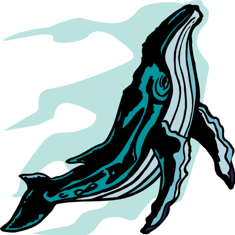 Hibernation Clipart - Animal - Fish (482x482)