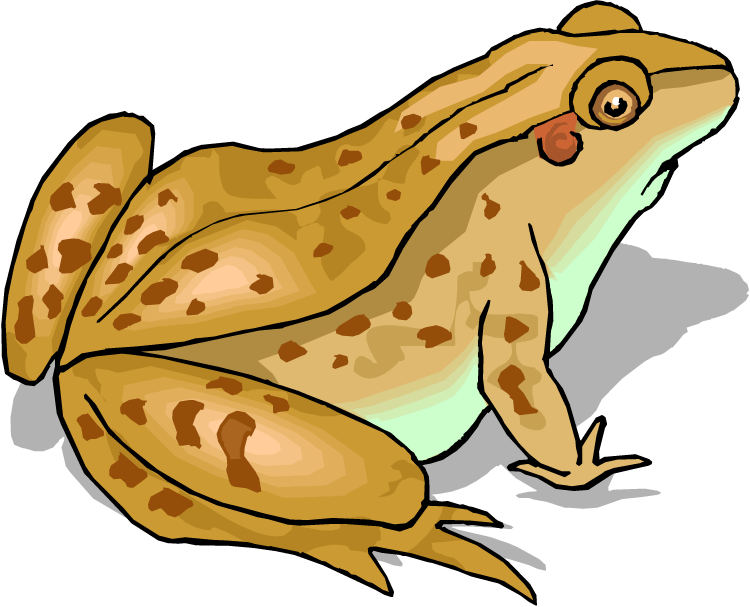 Sream Clipart Living Thing - Frog From Tuck Everlasting (750x607)