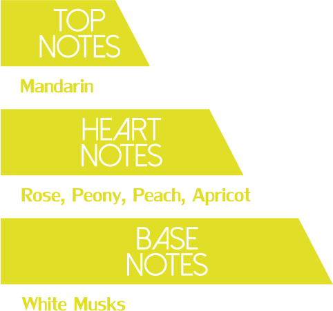 Fragrance Description - Pierre Lumiere (482x451)