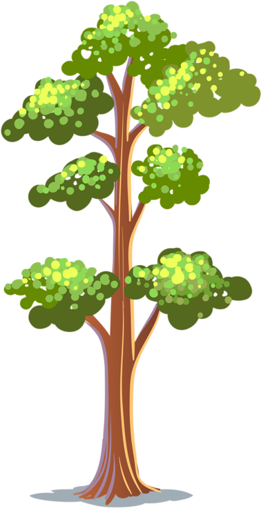 Clip Art - Arboles De Bosque Dibujo (446x800)