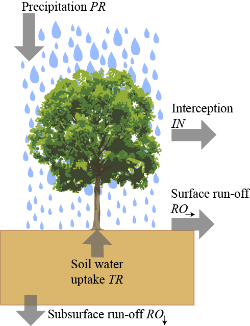 Water Enters The Ecosystem Through Precipitation E - Interception In The Water Cycle (490x638)