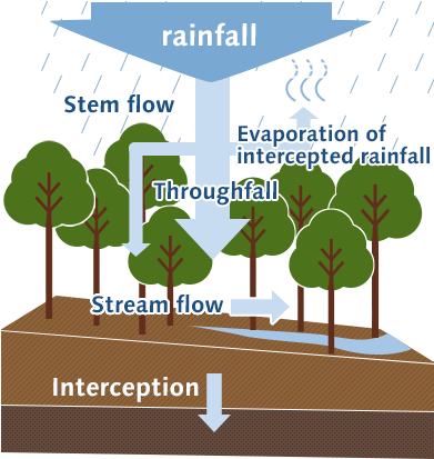 The Functionality Of Green Dams That Are No Longer - Stream (390x430)