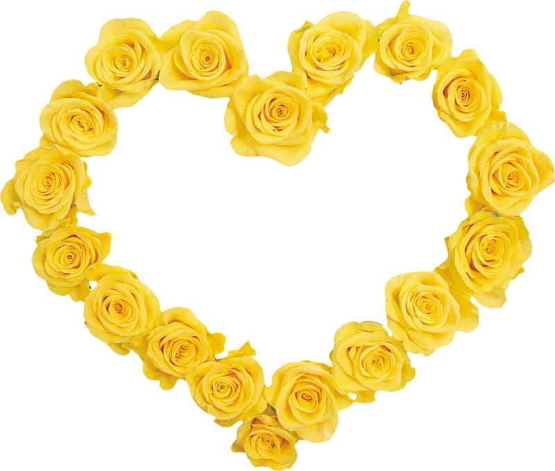 Yellow Roses Frames - Design (800x678)