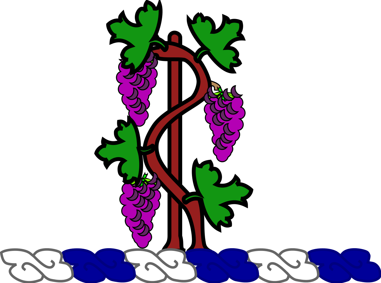 Connecticut National Guard Crest - Custom Black Otterbox Commuter Series Case For Apple (1280x952)