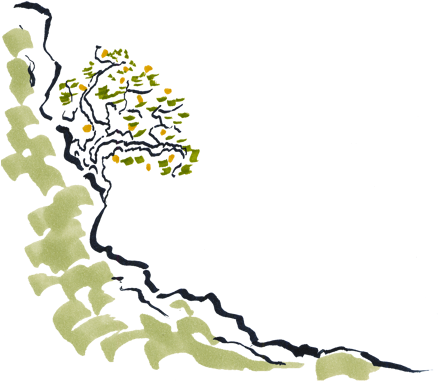 Pear Garden School Of Tai Chi - Tai Chi (450x386)