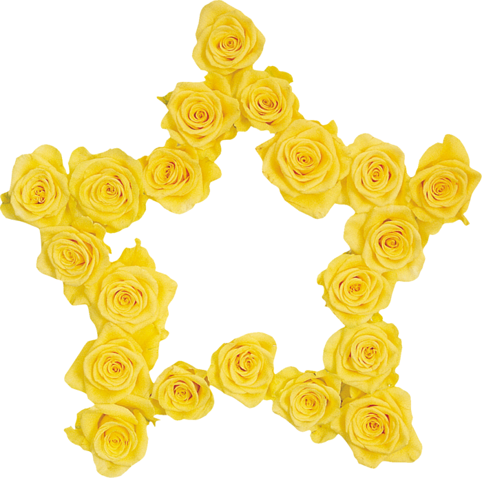 Yellow Roses Frames - Apliques Futebol Brasil (700x694)