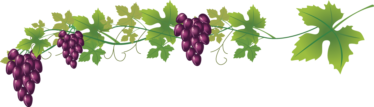 Wine Common Grape Vine Royalty-free Clip Art - Transparent Background Wine Red Grape (1207x347)