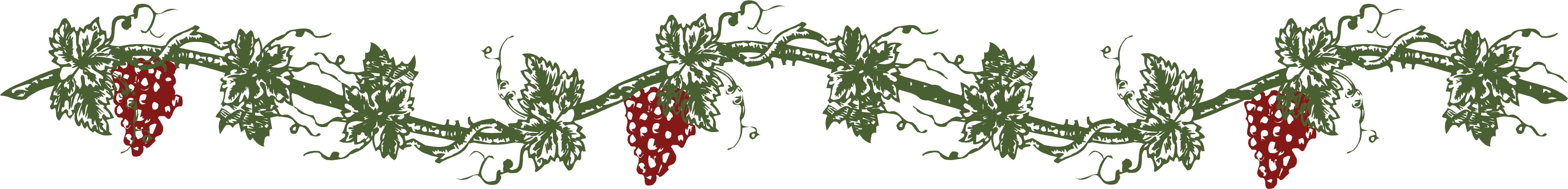 Check Out Our Lunch Selections - Sense La Terra Promesa (5417x709)