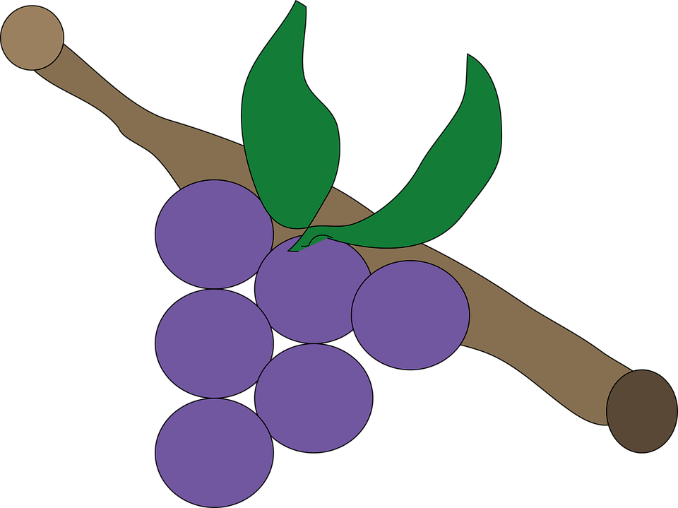 Grape Png 29, Buy Clip Art - Grape (1001x750)