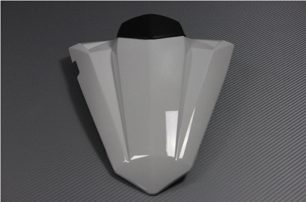 Kawasaki Ninja 300 (600x600)