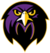 The Falcon Flyer Email Newsletter - River Valley High School (600x200)