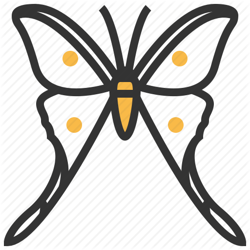 Papillon Clipart Bug - Icon (512x512)