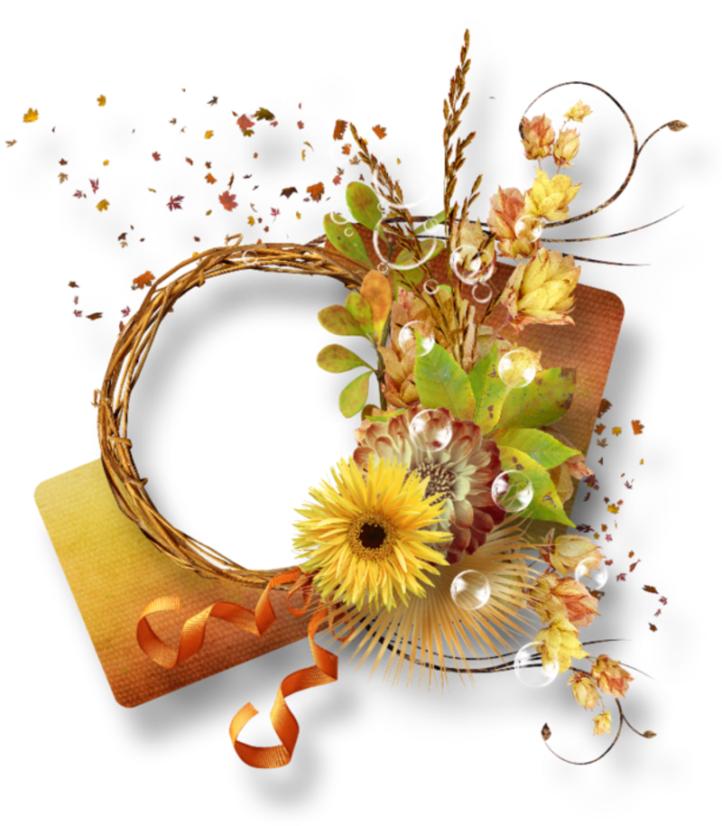 Picture Frames Flower Film Frame Scrapbooking - Picture Frames Flower Film Frame Scrapbooking (800x915)