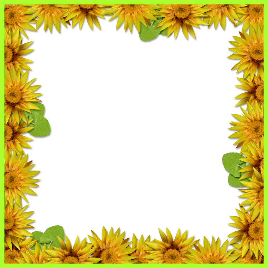 Sun Flower Sunflower Frame Png Incredible Bie Arrow - Sunflower Border Design (924x924)