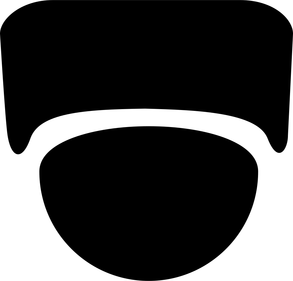 Speed Dome Cameras Comments - Speed Dome Cameras Comments (980x940)