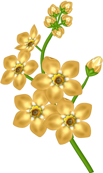Yellow Flower Transparent Clipart - Yellow Flowers Transparent Background (600x600)