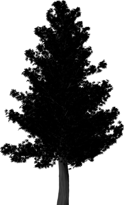 Pine Trees Silhouette - Reindeer (436x720)