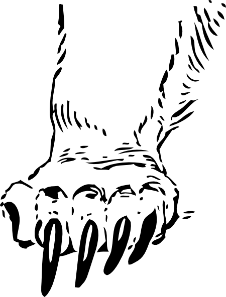 Custom Grizzly Bear Paw Sticker (571x750)