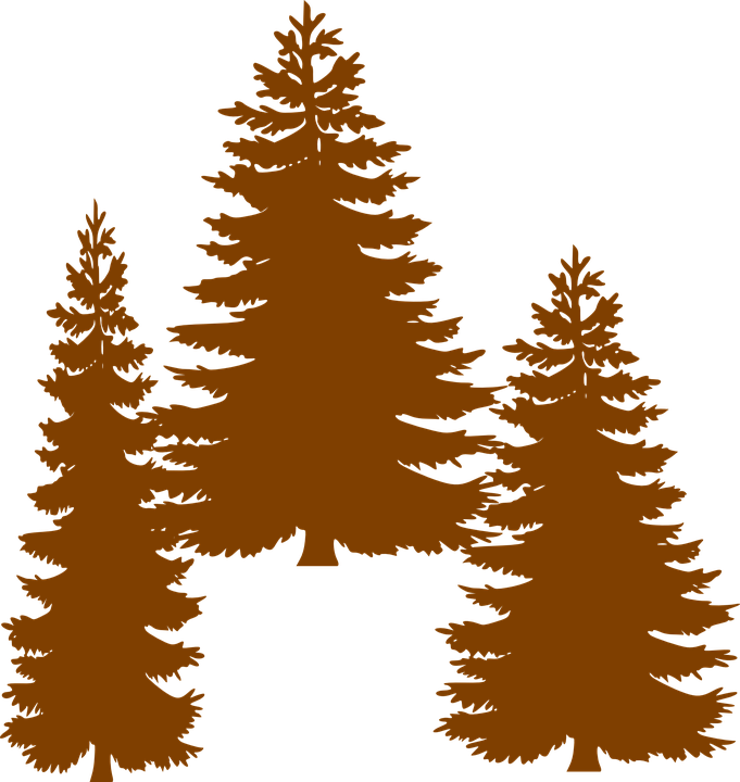 Cedar Tree Silhouette 25, - Tall Pine Tree Silhouette (681x720)