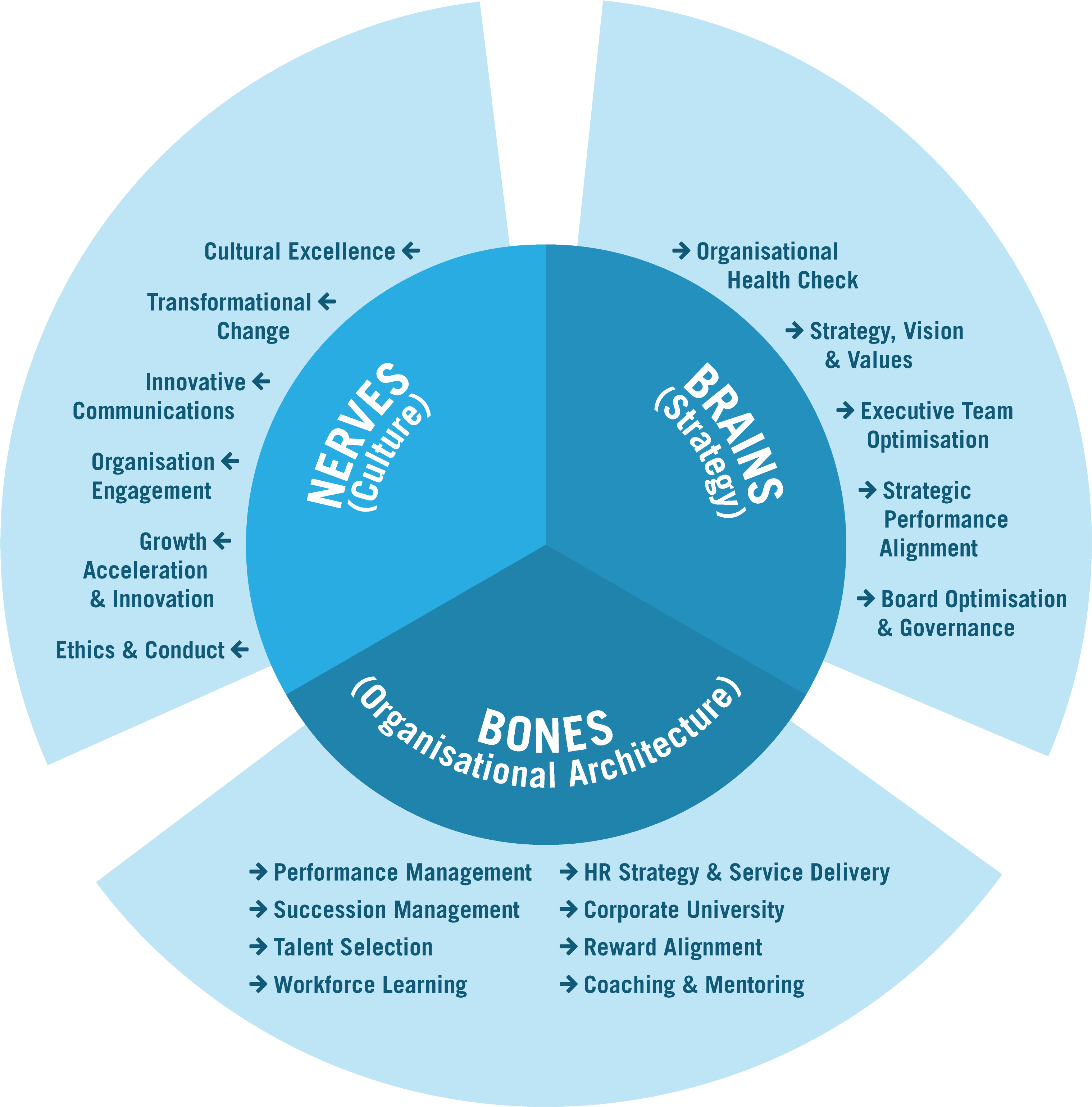 Working Capital Strategies Paper Working Capital Strategies - Human Capital Consulting Frameworks (3217x3316)