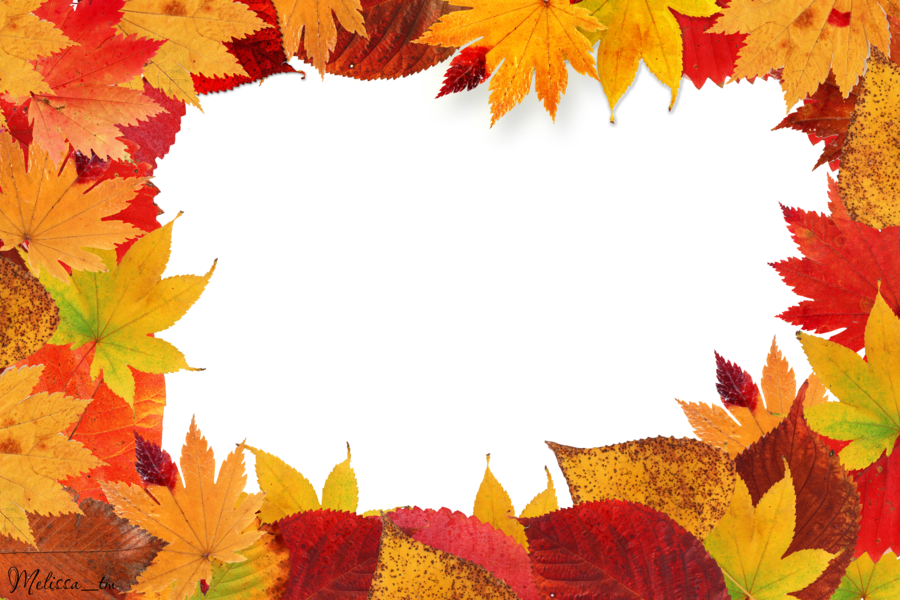 Autumn Leaves Frame Png Leaf - Autumn Leaves Frame Png (900x600)