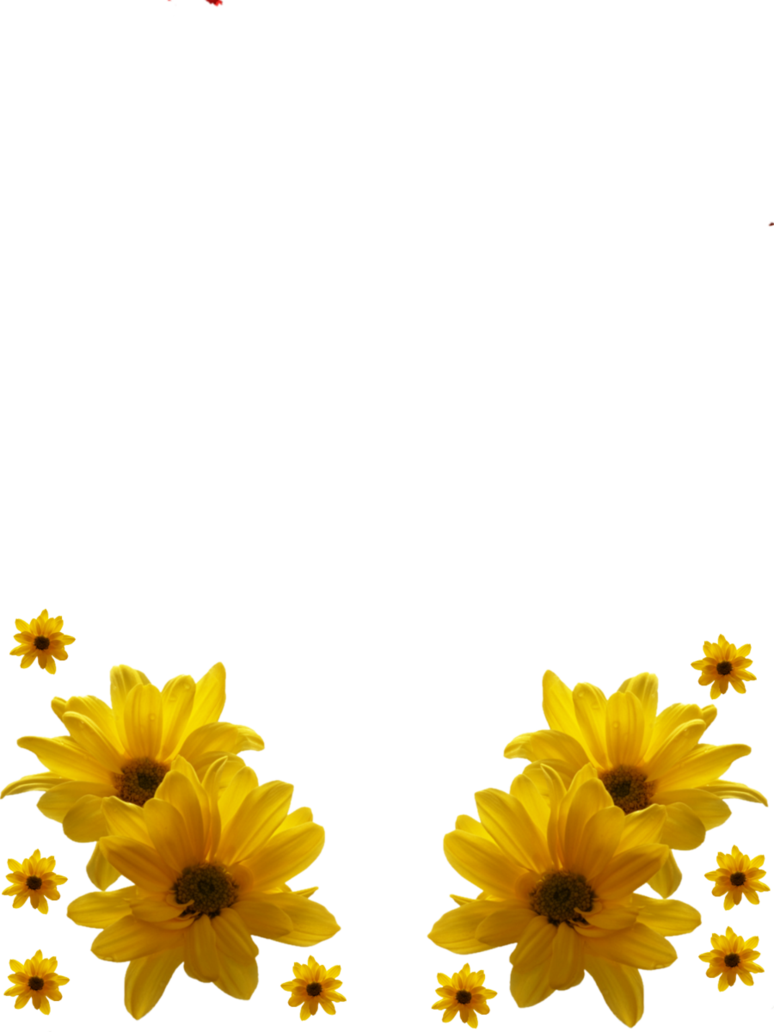 Flower Frames Png Flower Frame Png By - Yellow Flowers Png Hd (774x1032)