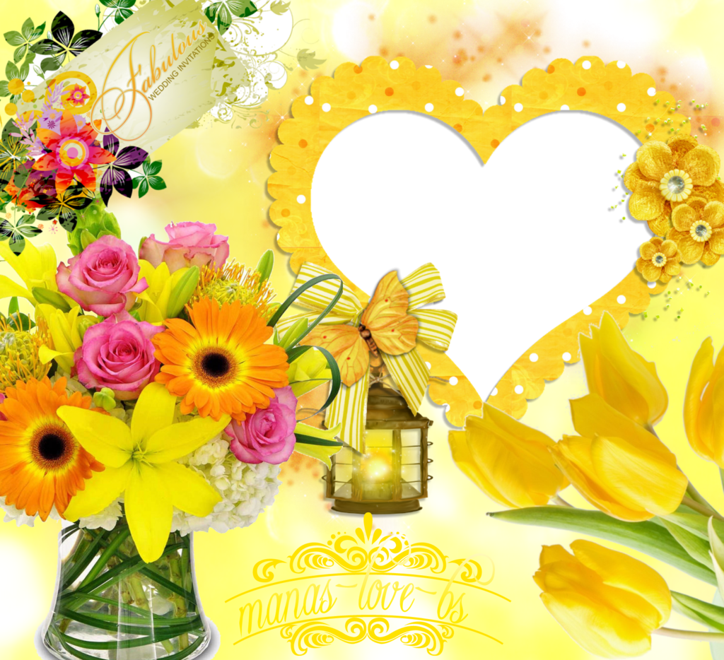 Gautamdas1992 Frames By Gautam~02 By Gautamdas1992 - Xinhuaya 100pcs Tulips Seed Flower Seeds Bonsai Plants (1024x934)