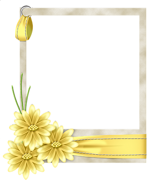 Yellow Frame Png - Yellow Frame Png (492x600)