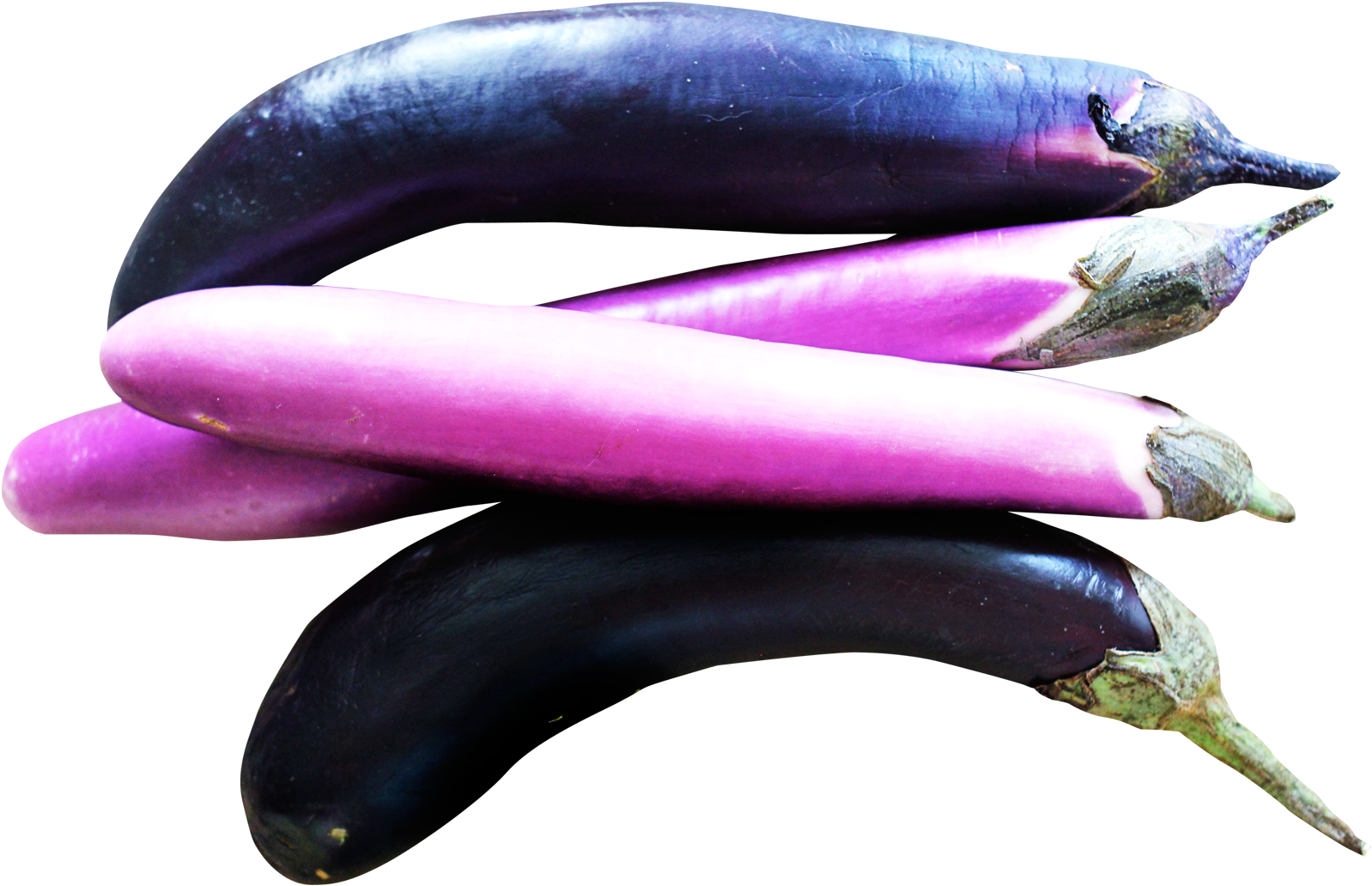 Eggplants - Plante Aubergine Clipart Transparent (1717x1188)