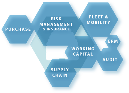 Purchase, Supply Chain & Fleet And Mobility Management - Chamaral (500x350)