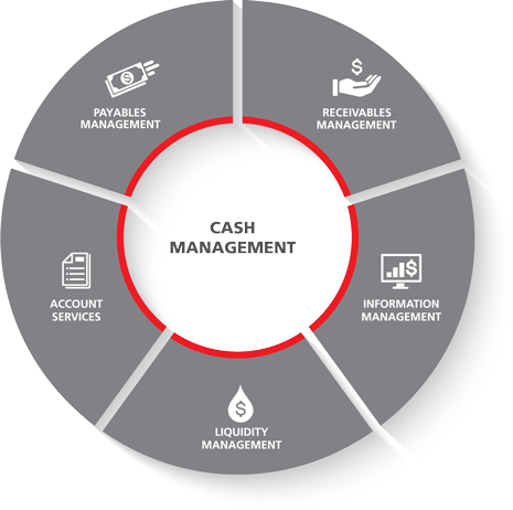 Treasury And Working Capital Solutions - Product Life Cycle Perspective (465x462)