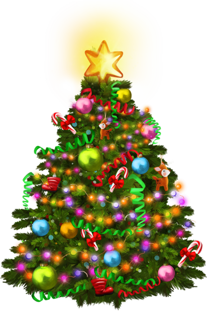 Sapins,noel,christmas, - Xmas Transparent (428x650)