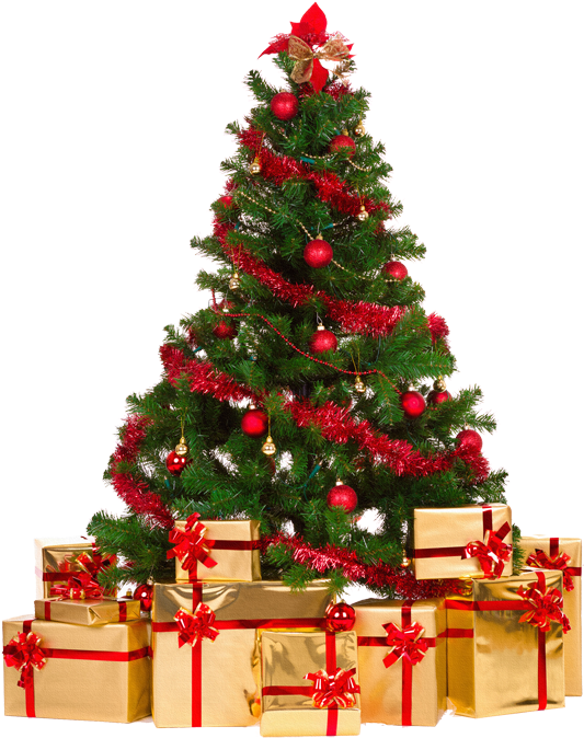 Sapins De Noel,tubes Sapins - Nicexmas Christmas Tree Storage Bag Jumbo Storage Bags (600x711)
