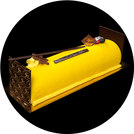 Bûche Yver Tropique - Udder (500x500)