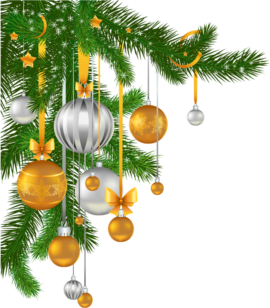 Branches De Sapins - Christmas Background Images Png (898x1026)