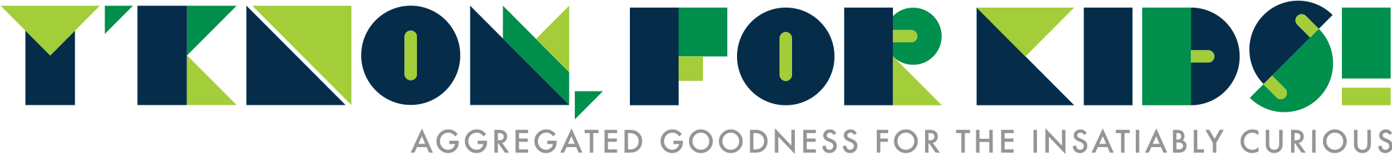 What Did Chicago Look Like Before The Great Fire Is - Circle (2000x222)