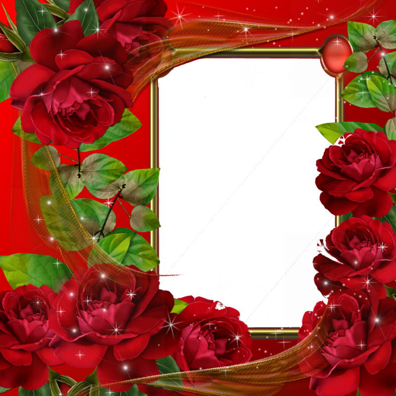 Beautiful Red Roses Transparent Photo Frame - Beautiful Love Photo Frames (800x800)