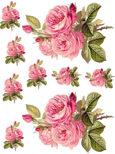 Charming Redoute Roses Shabby Waterslide Decals *furniture - Rose Decoupage Paper (373x500)