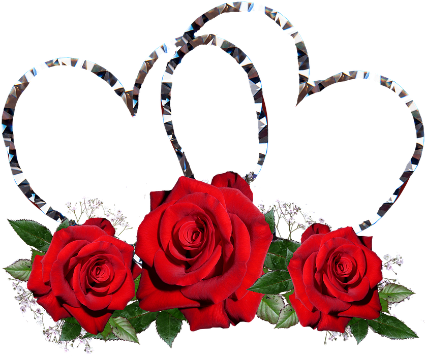 Red Roses, Hearts, Valentine, Romance - Rose (869x720)