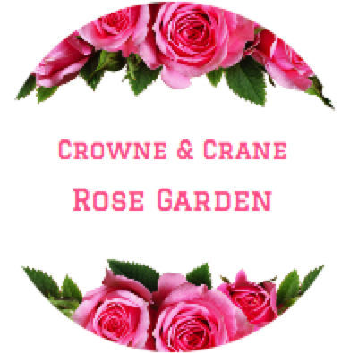 Rose Garden Shaving Soap - Rose Flowers (400x404)