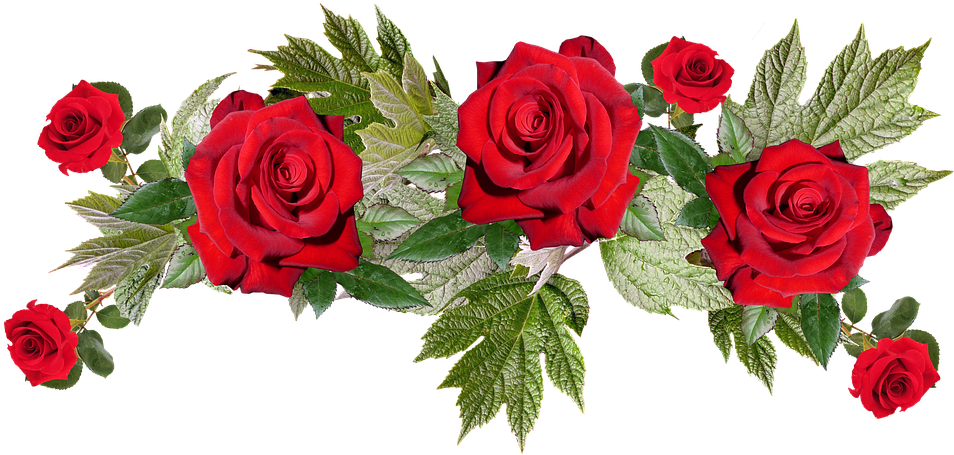 Roses, Red, Flower, Arrangement, Anniversary, Bouquet - Flower (960x463)