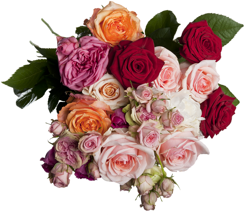 Isolated, Roses, Bouquet, Multi Coloured, Romantic - Roses Bouquet Png (817x720)