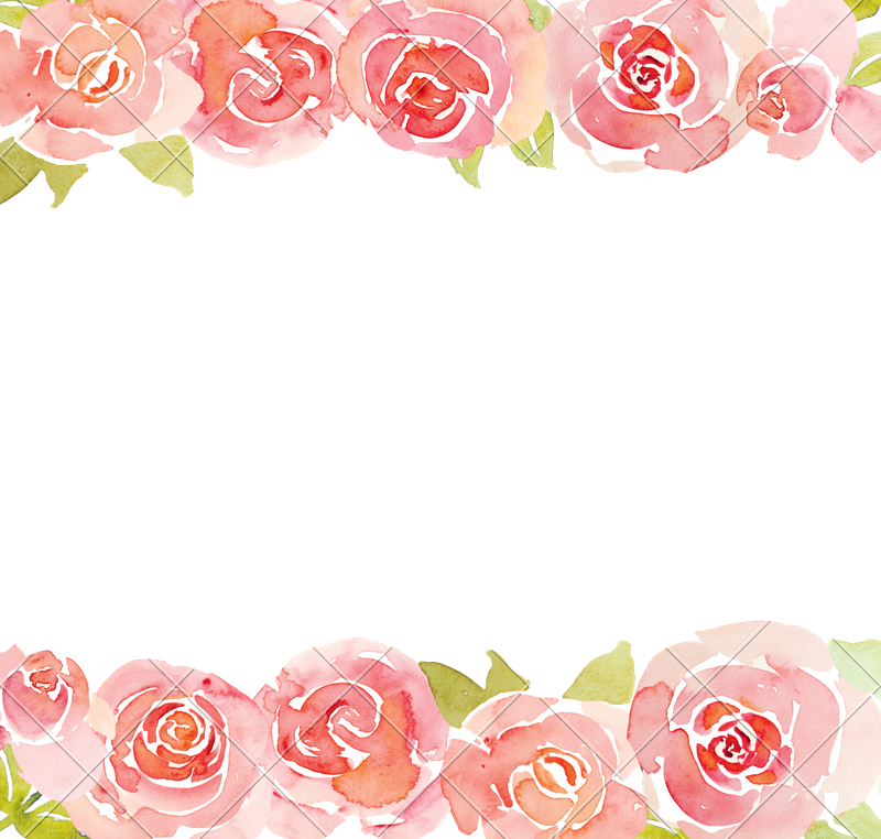 Pink Roses Watercolor - Pink Roses Watercolor (800x762)
